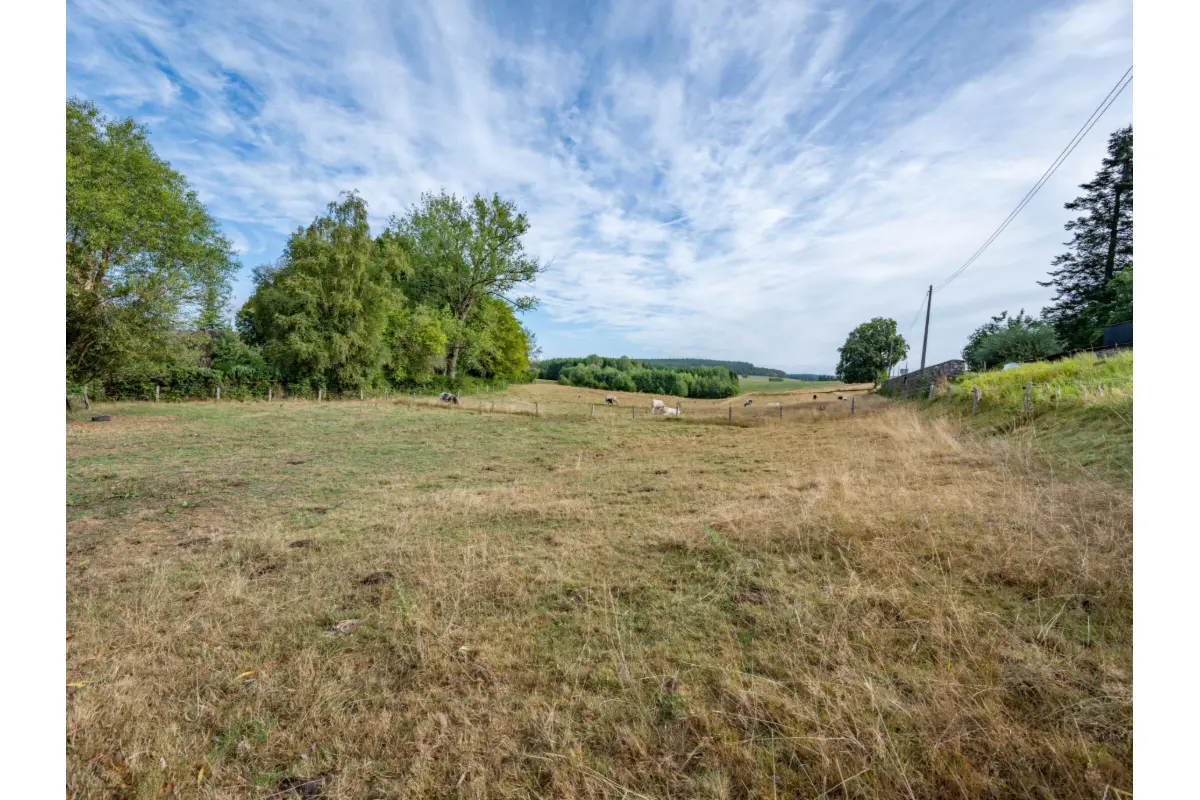 Terrain à bâtir à vendre à Champlon 6971 75000.00€  chambres m² - annonce 826868