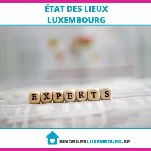 experts état des lieux LUXEMBOURG